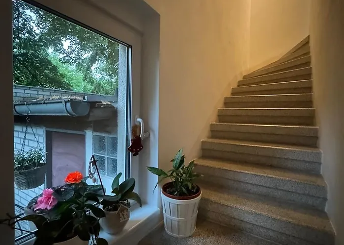 Ferienhaus Cozy Hideaway *